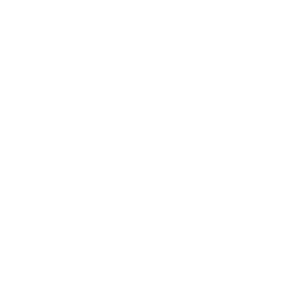 Cop Carnival'